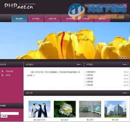 xsite企业自助建站软件下载 1.5.0 免费版 河东下载站